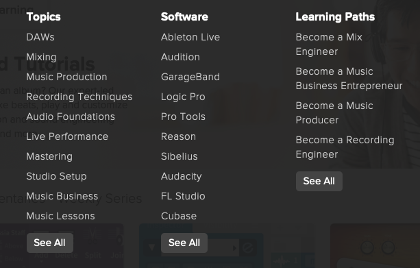 Screenshot of Audio + Music menu on Lynda.com.