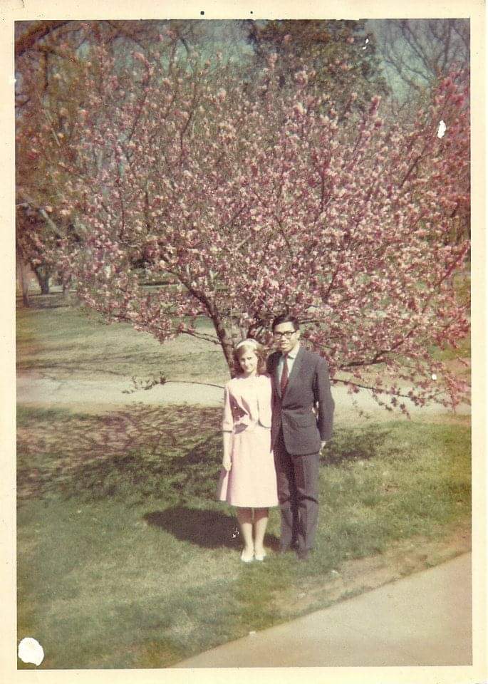 a man and woman standing in front of a pink flowered tree