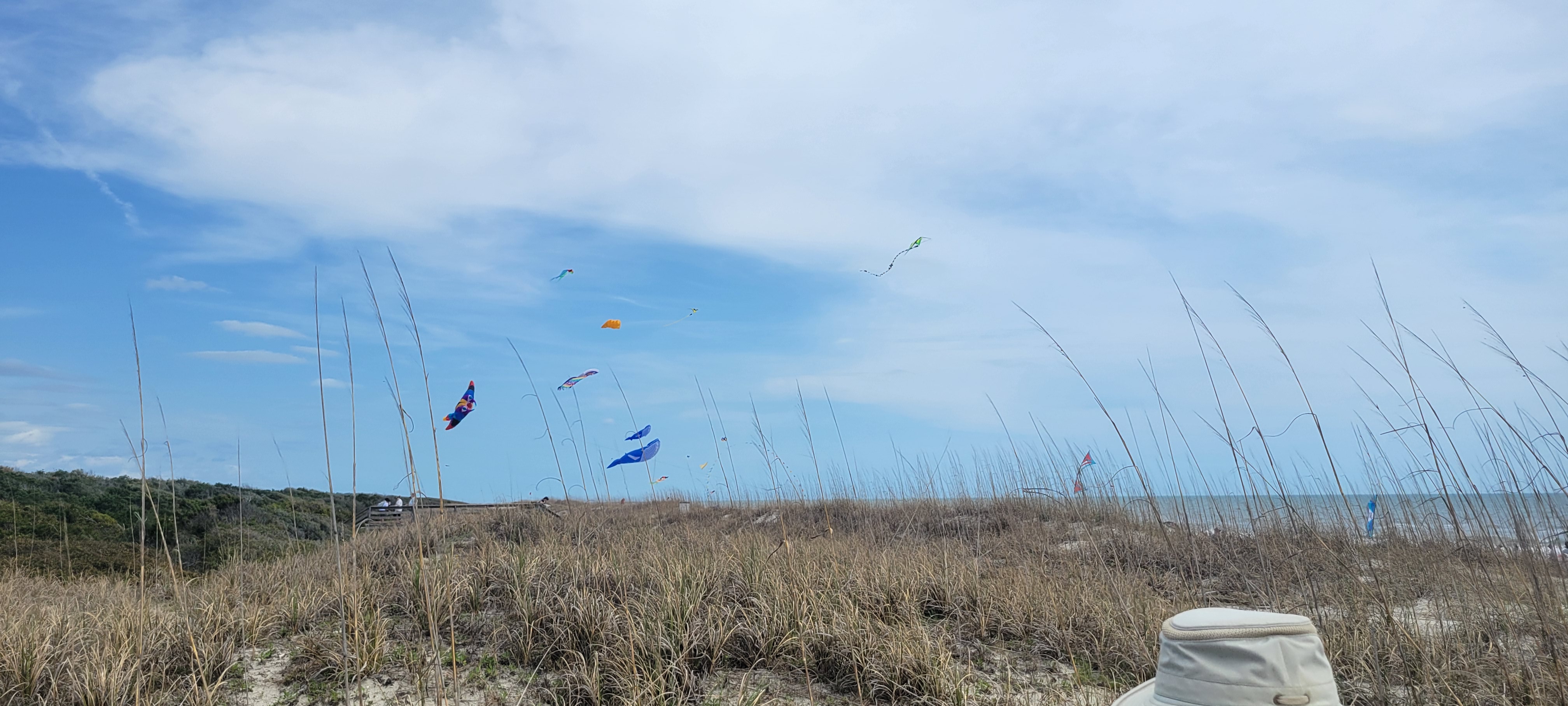 kites flying at the beach