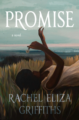 promise book cover