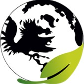 Logo for USC's Sustainable Carolina