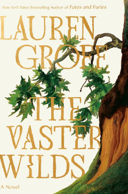 vaster wilds book cover