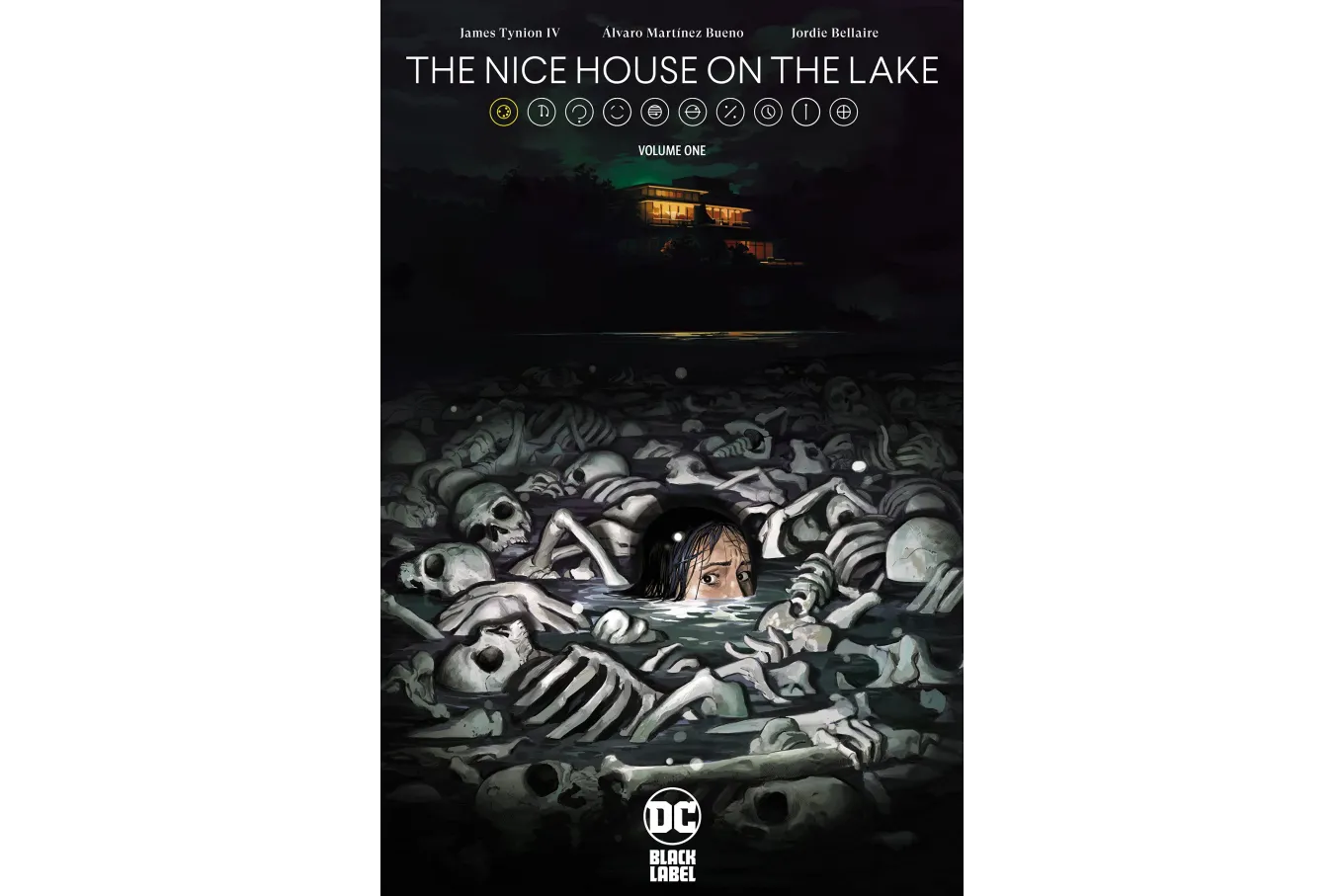 Cover of The Nice House on the Lake