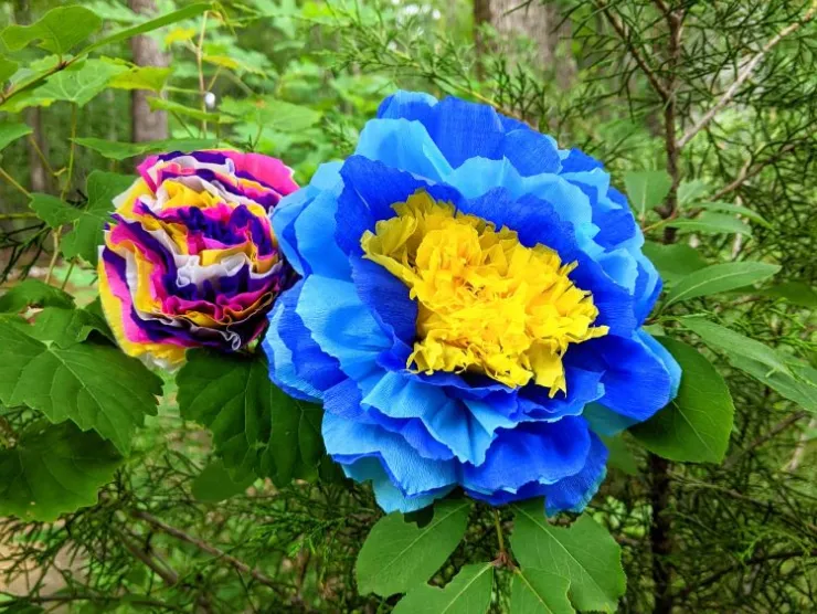 Photo: two crepe paper flowers hung in a tree. One is blue with a yellow center and one is white, pink, yellow, and purple.