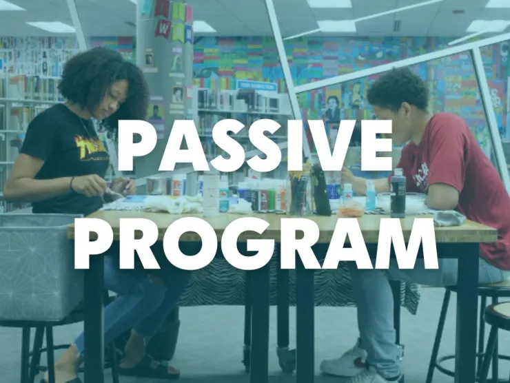 Passive Program Image