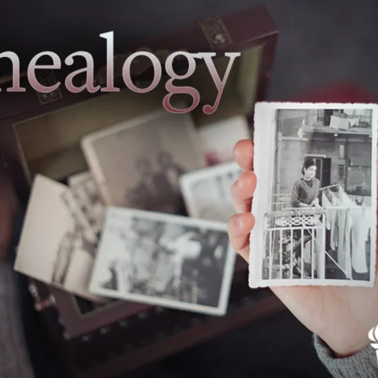 The Great Courses genealogy series