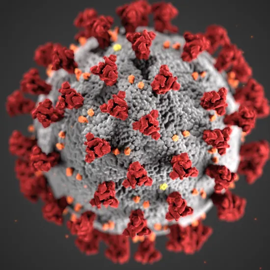 illustration of the COVID-19 virus