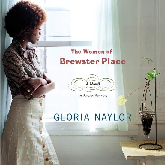 Women of Brewster Place Cover Image