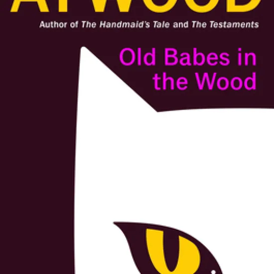 old babes in the woods book cover