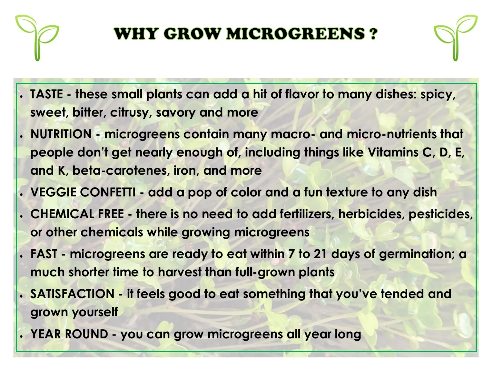 This is a wall of text about why you should grow microgreens