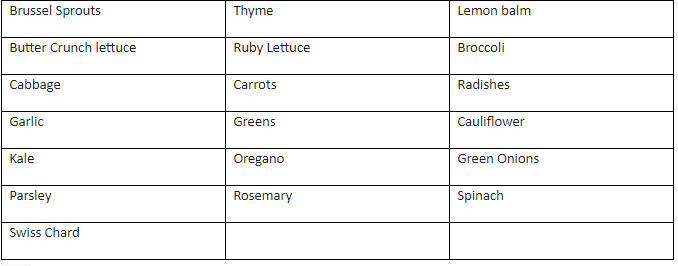 List of Fall/Winter Plants 2019