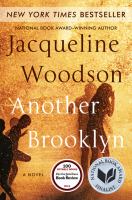 Book cover of Another Brooklyn