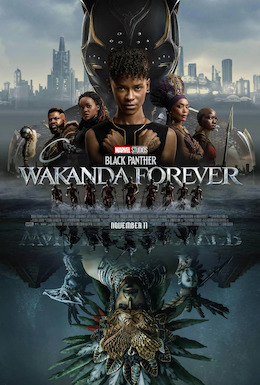 all of the heroes of Wakanda 