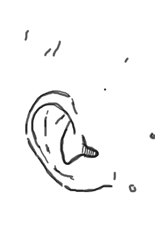 Animated drawing of the human ear
