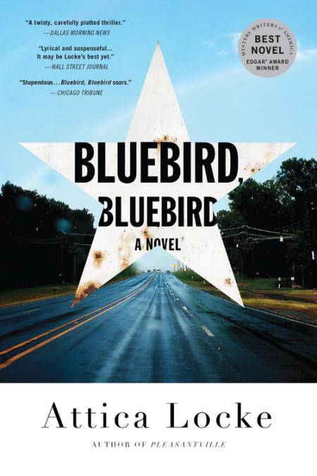 Bluebird, Bluebird Book Jacket