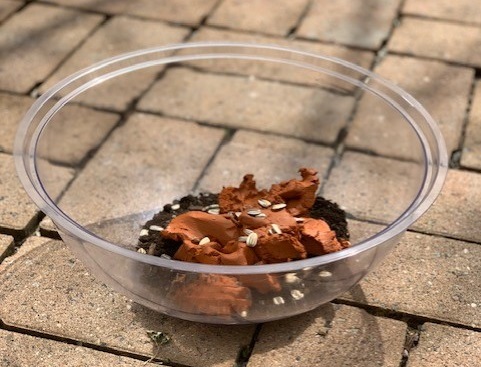 Picture of potting soil, clay, and seeds in bowl