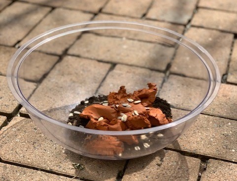 Picture of potting soil, clay, and seeds in bowl 