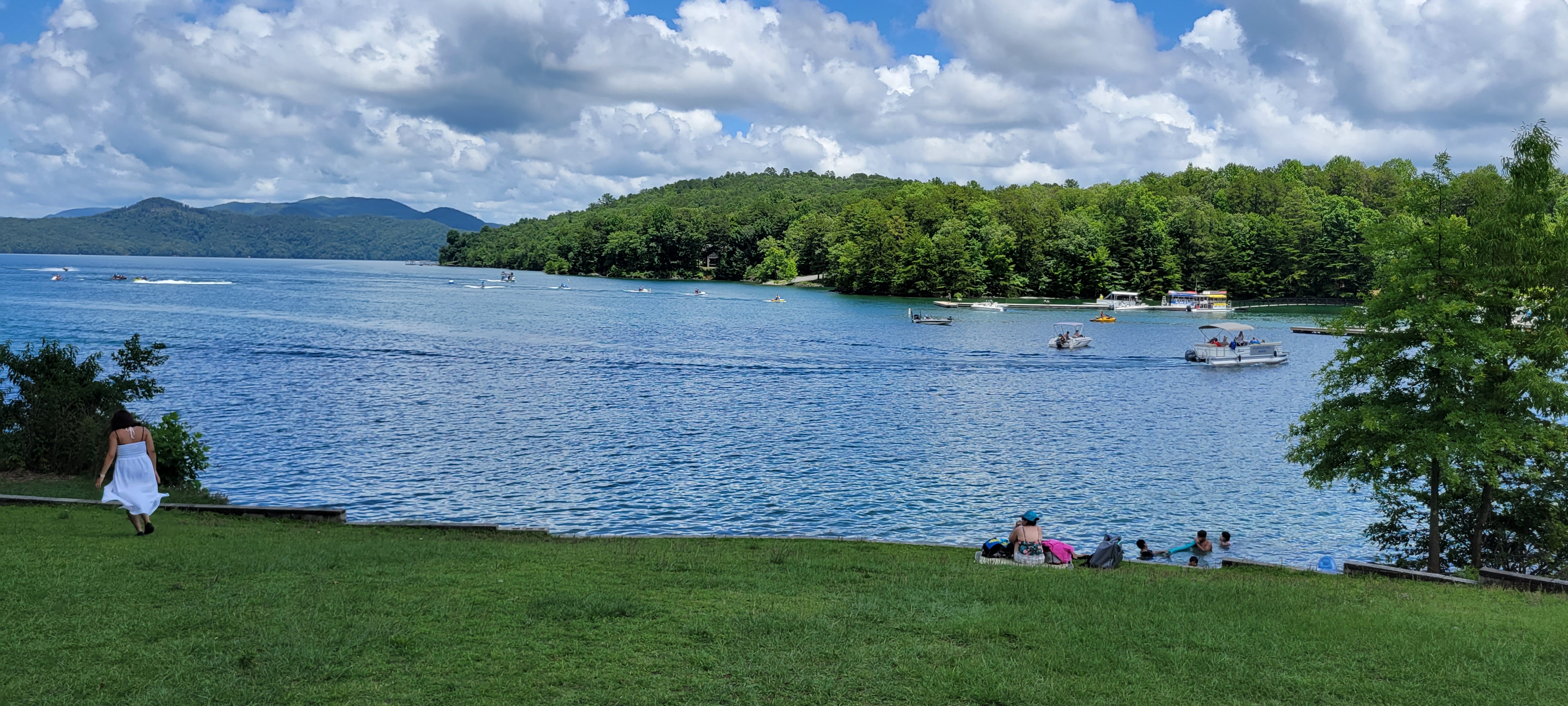 Lake with trees