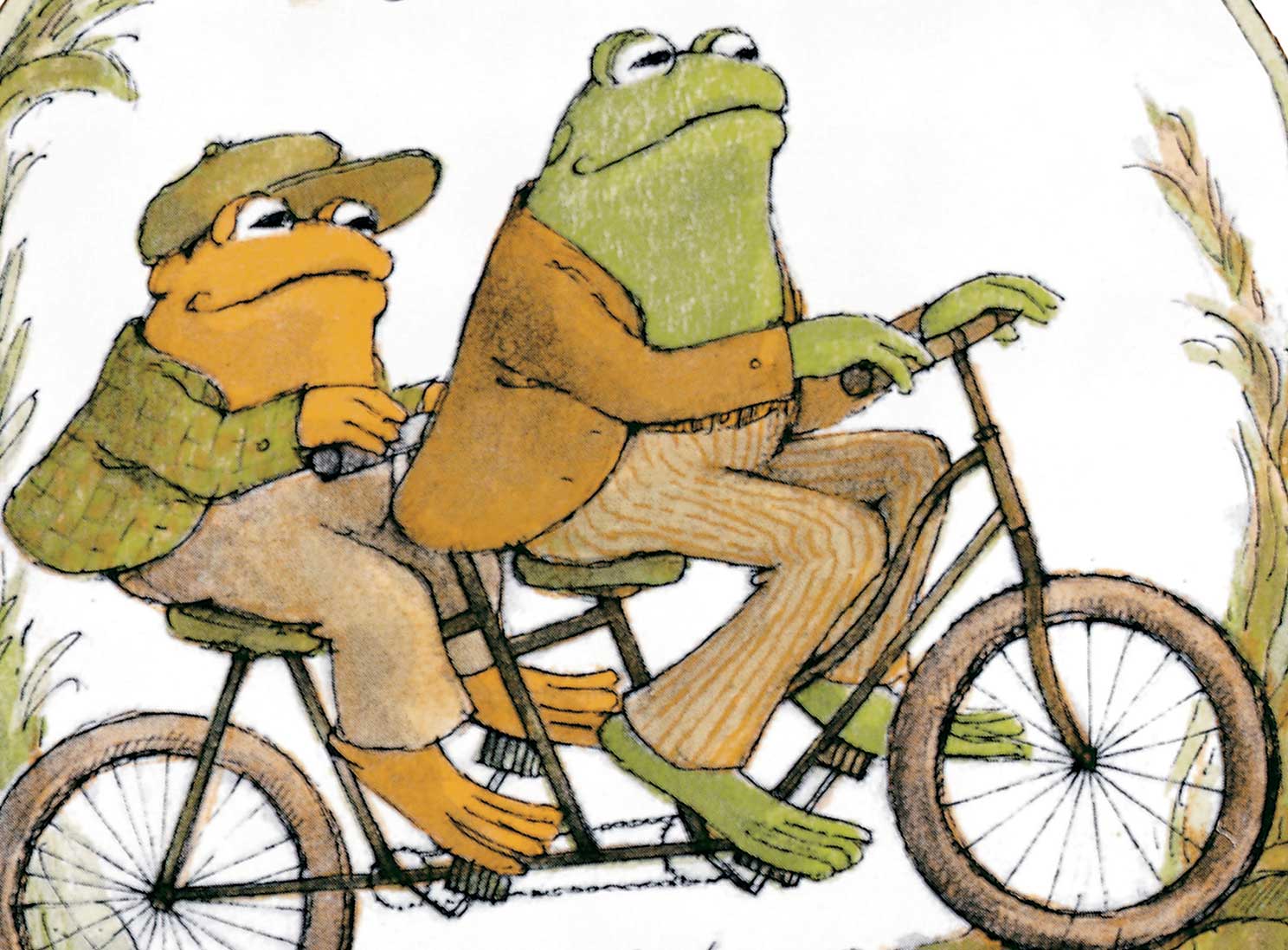 Frog and Toad An Amphibious Celebration of Same HD wallpaper  Pxfuel