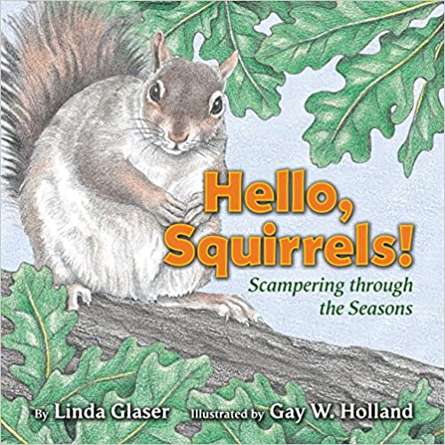 Hello Squirrels