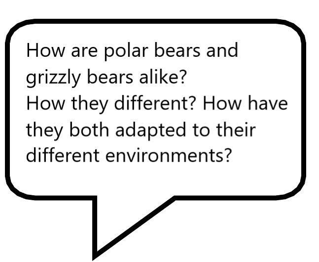 Question Polar Bear and Grizzly Bear