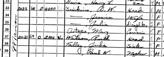 Simkins 1940 census image