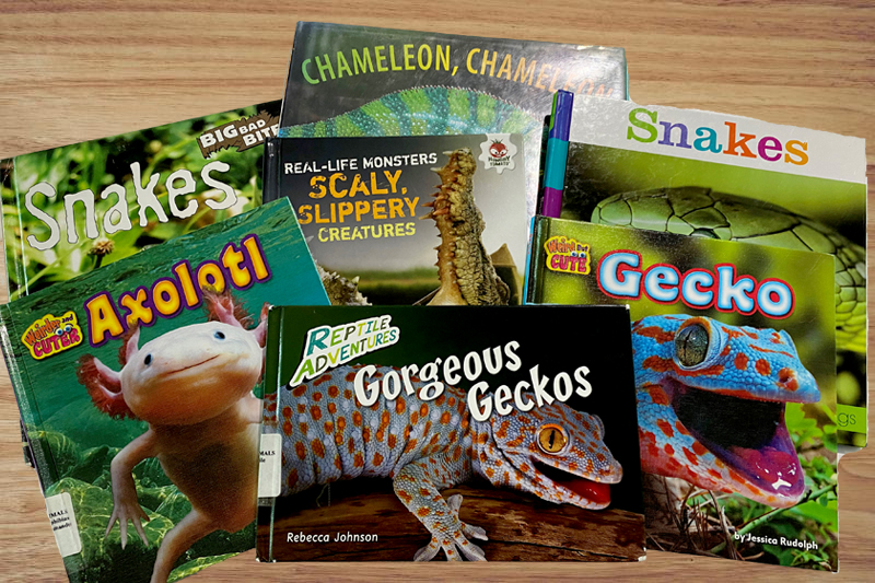 Children's books about snakes, lizards and more