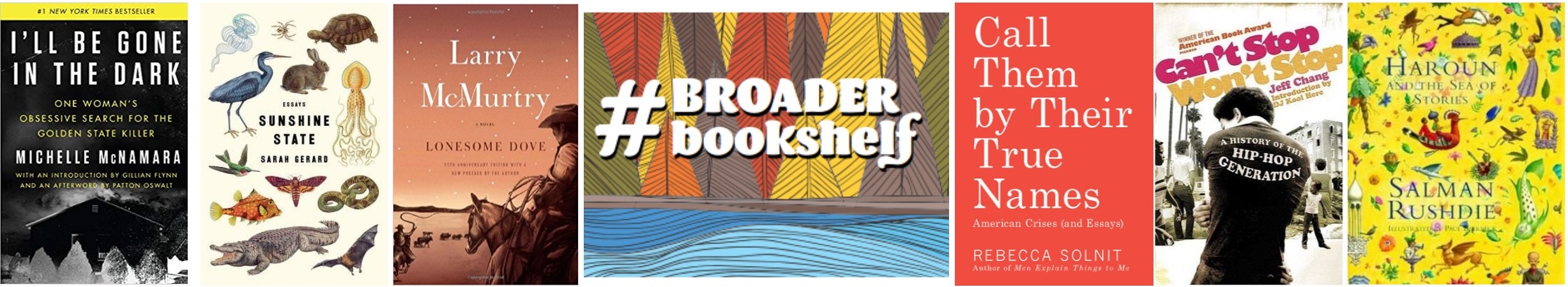 BroaderBookshelf logo and book covers