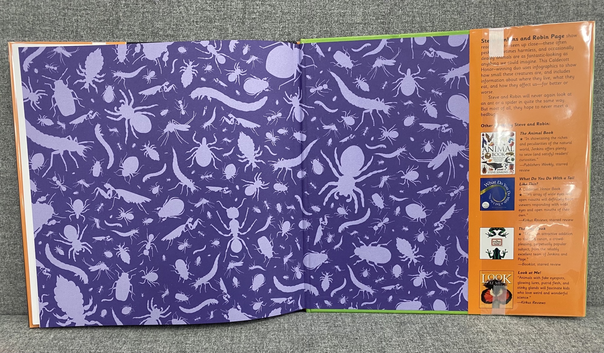 Endpapers from Tiny Monsters by Steve Jenkins and Robin Page