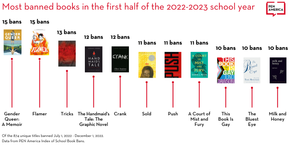 Most banned books in the first half of the 2022-2023 school year. flamer is tied for first.