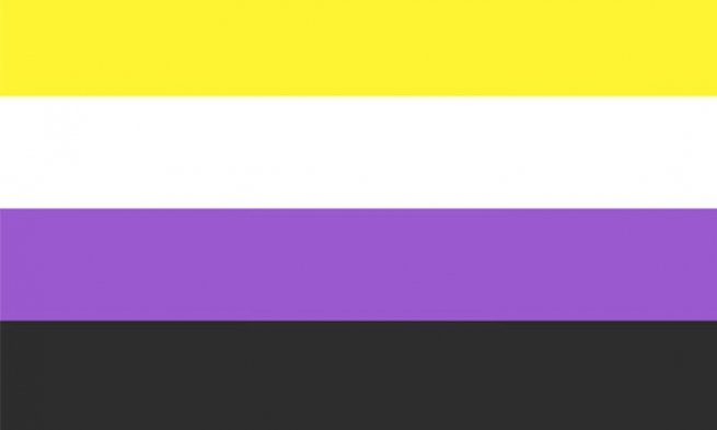 non- binary flag