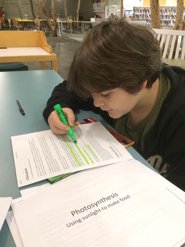 child reading and marking the page with a highlighter