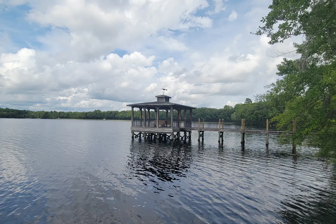grey dock in a lake