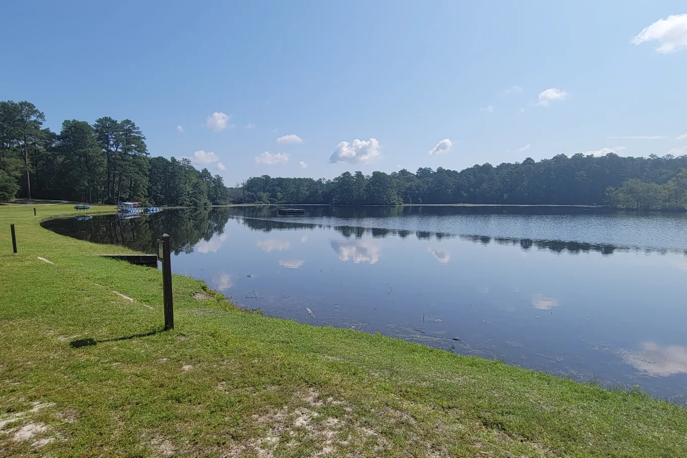 grassy lakefront