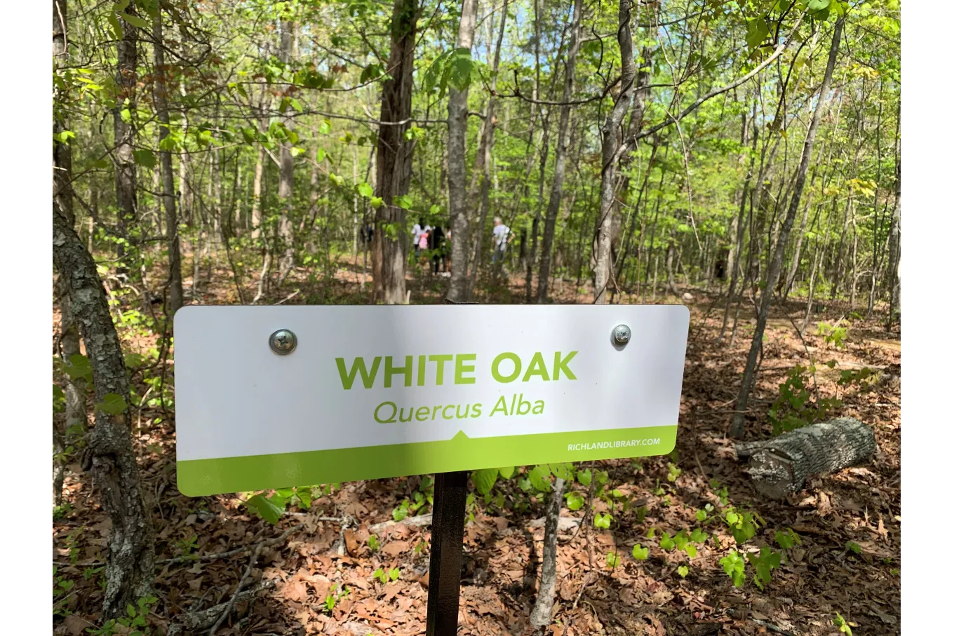 Nature Walk sign at Richland Library Ballentine