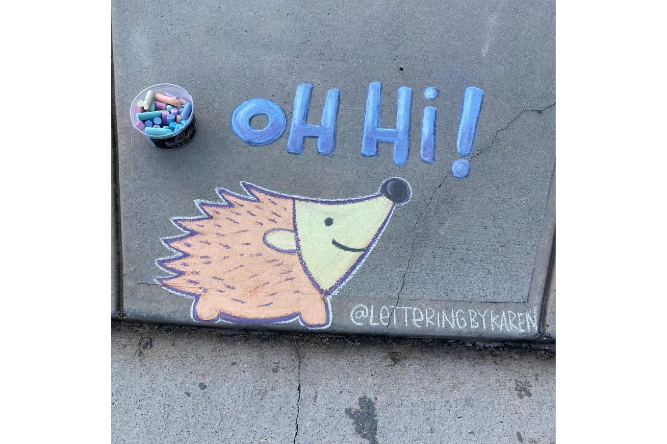 Chalk art of a hedgehog with the words Oh Hi!