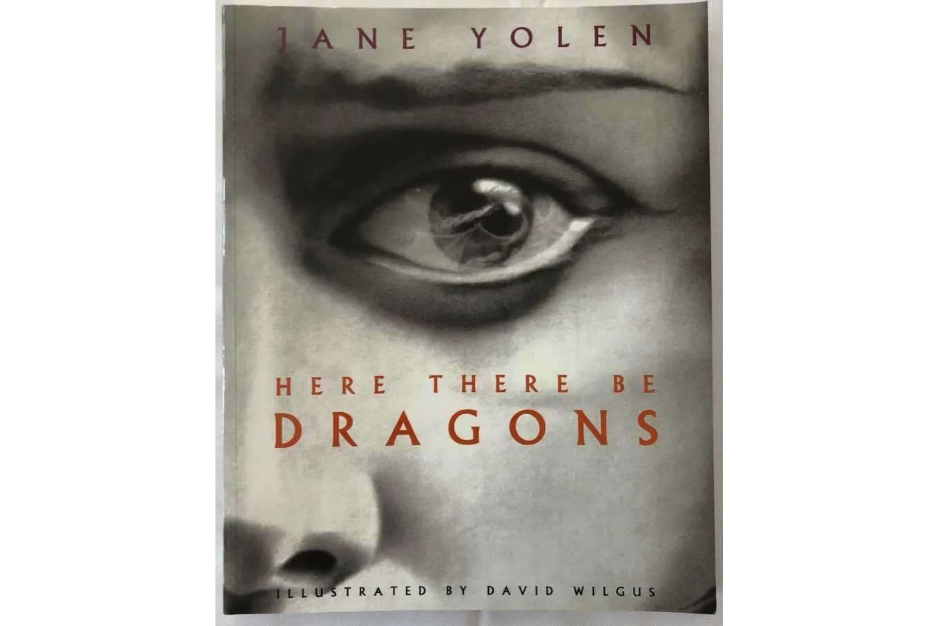 Book cover of Here There Be Dragons by Jane Yolen
