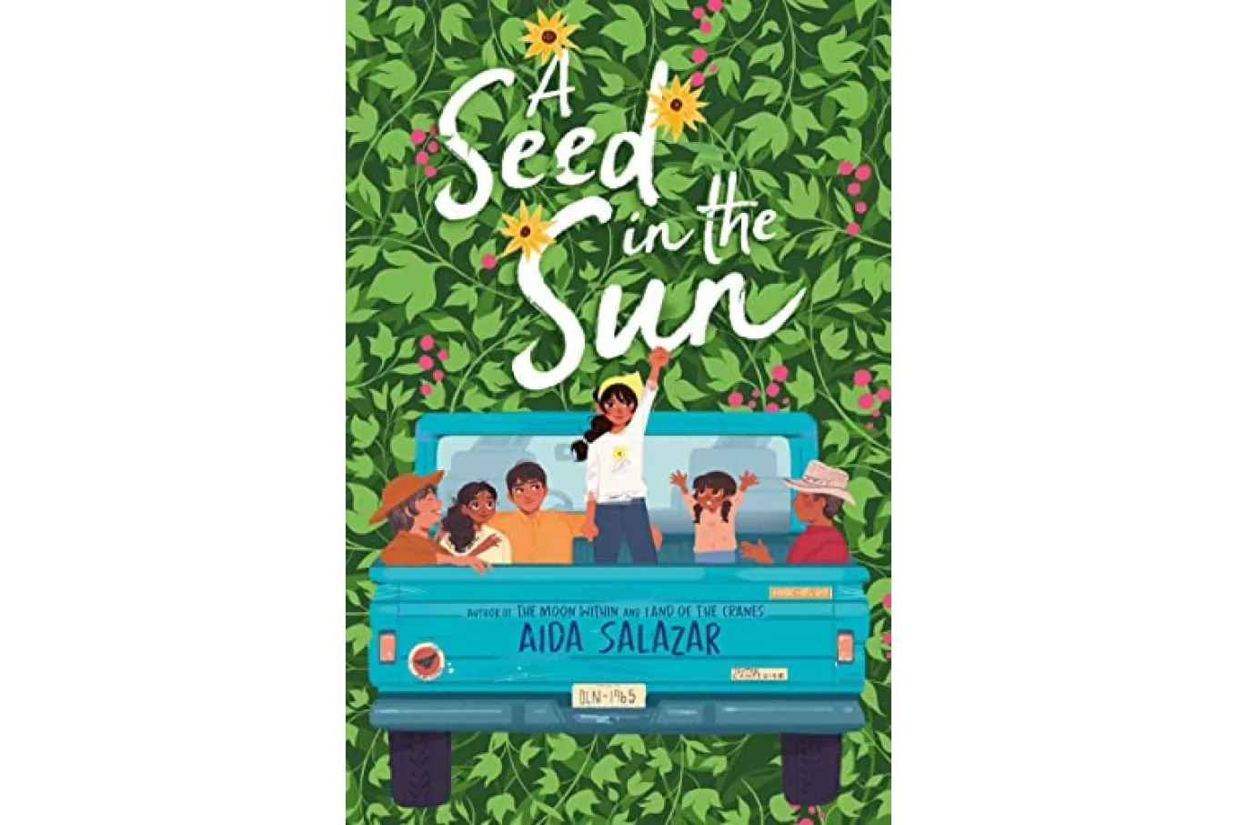 Cover of the book a seed in the sun