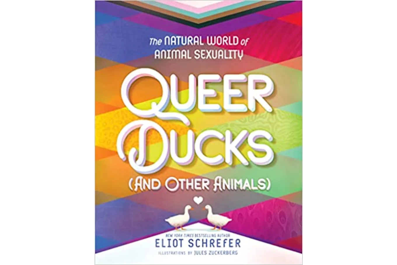 Cover of Queer Ducks