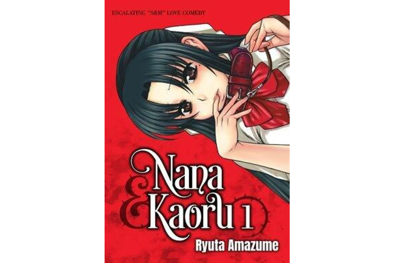 Nana and Kaoru book cover