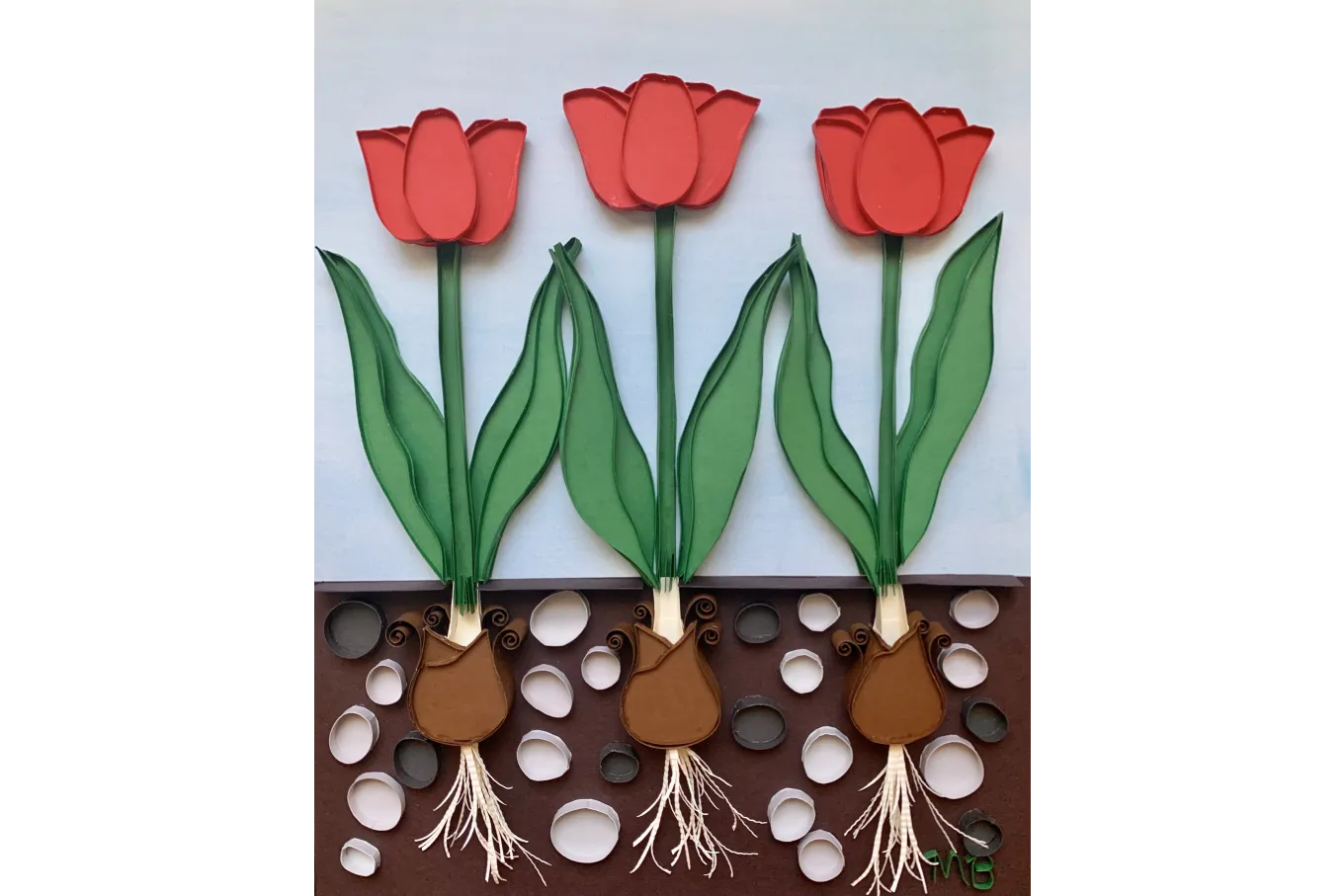 Tulips by Marie Boyd