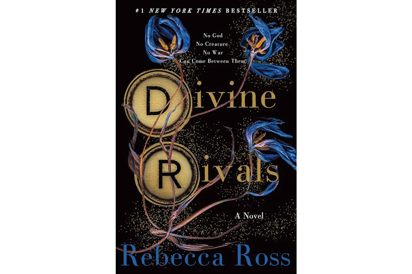 Cover of Divine Rivals