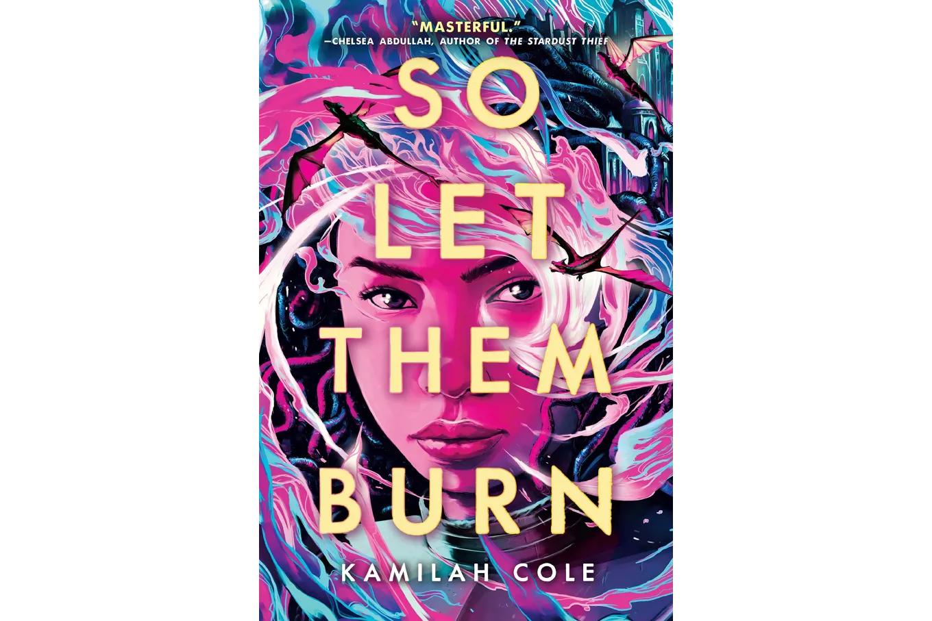 Cover of So Let Them Burn