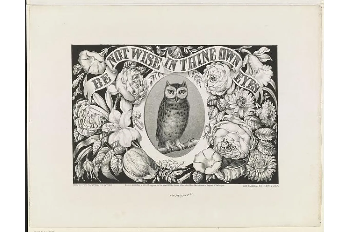 owl surrounded by flowers and text "be not wise in thine own eyes"