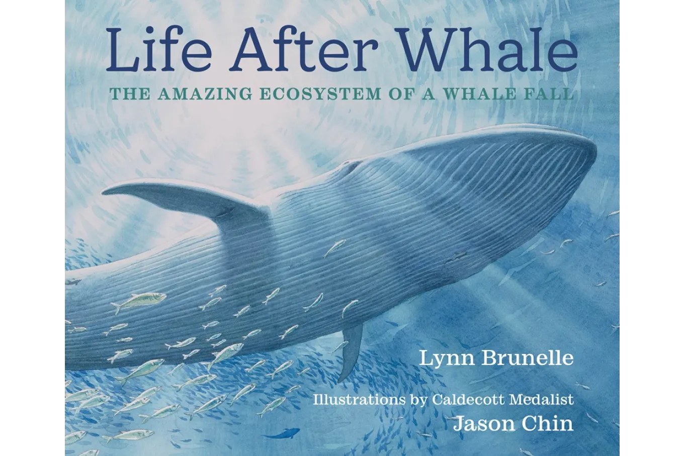 Cover of Life After Whale