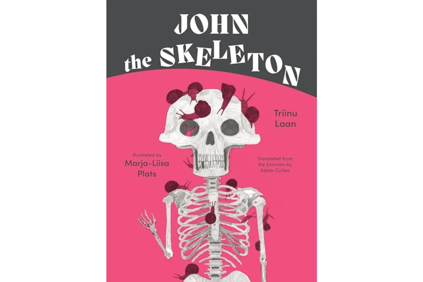 Cover of John the Skeleton