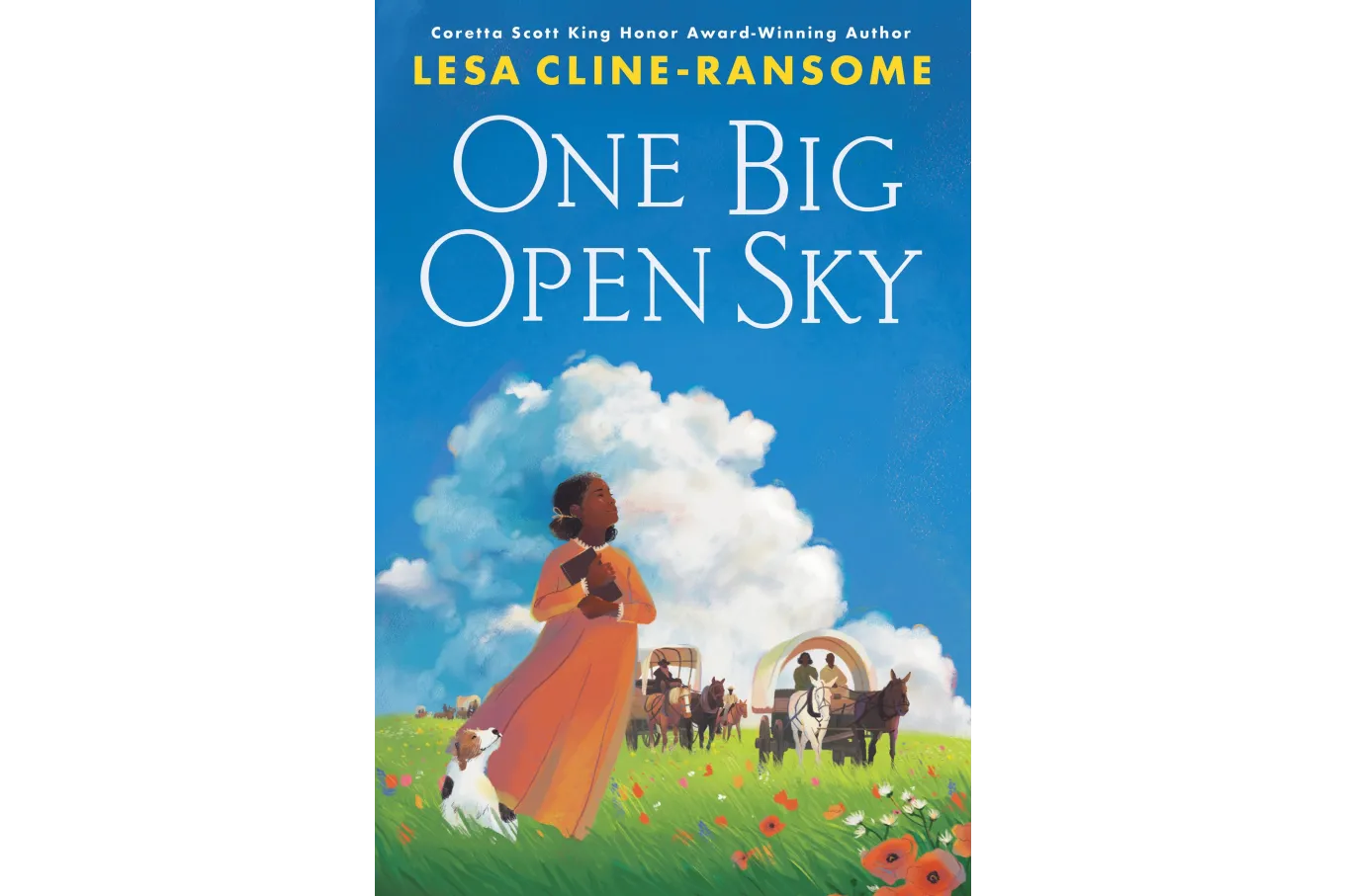 Cover of One Big Open Sky