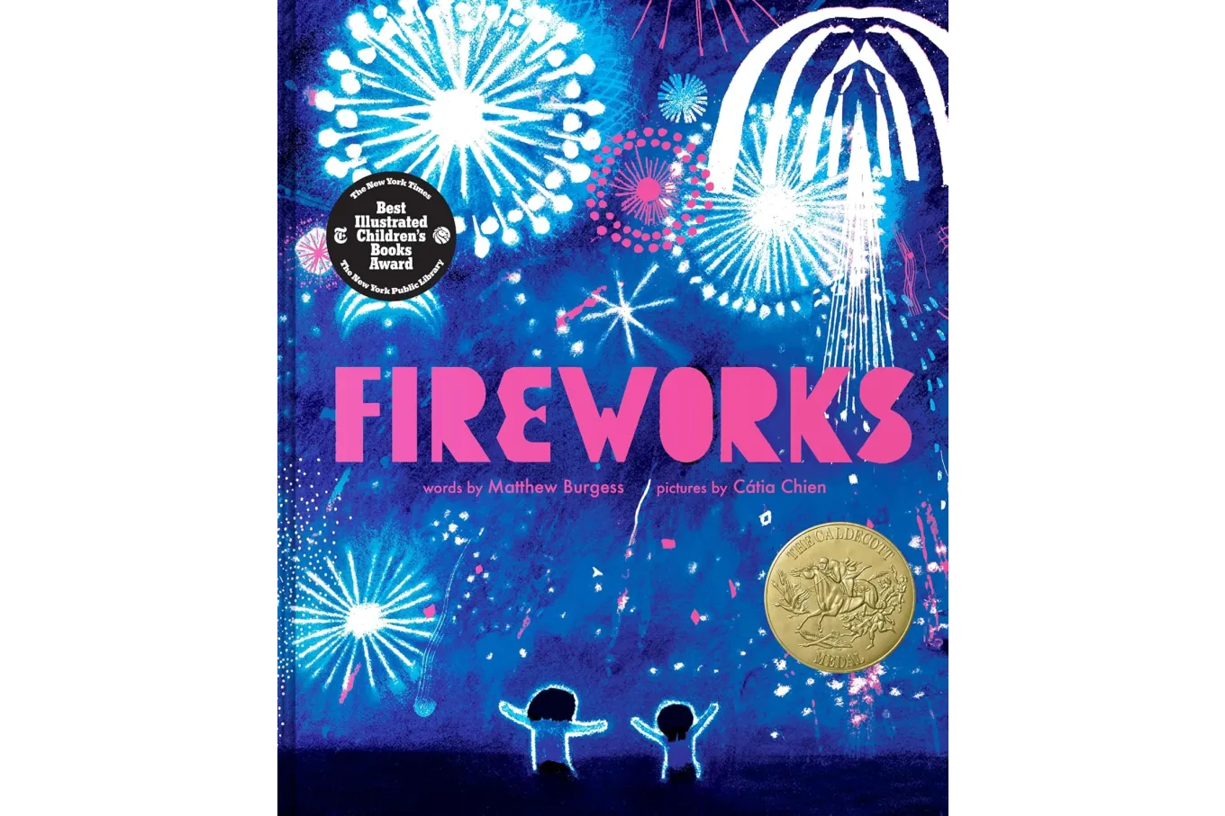 Cover of the book Fireworks