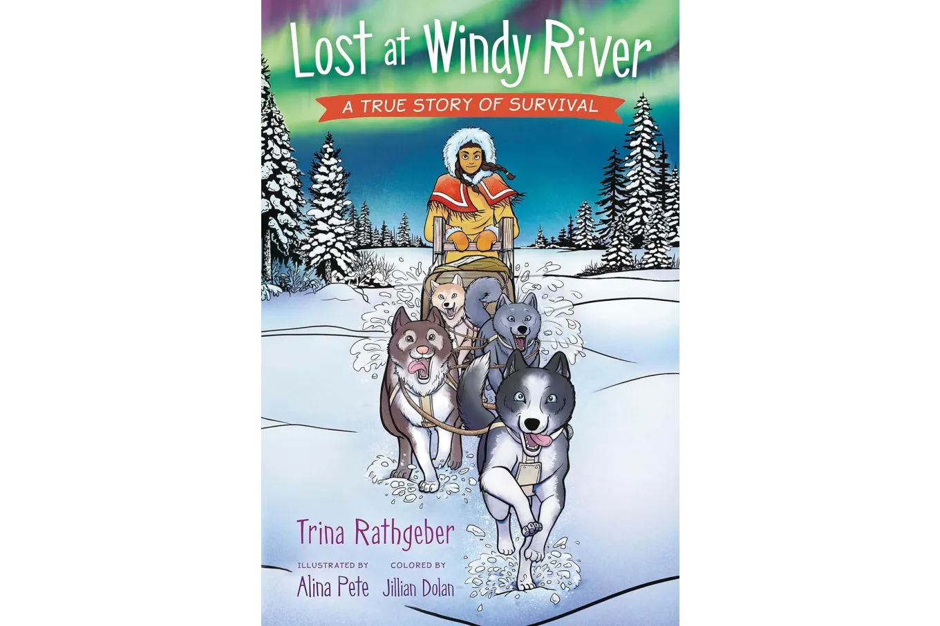 Cover of Lost at Windy River