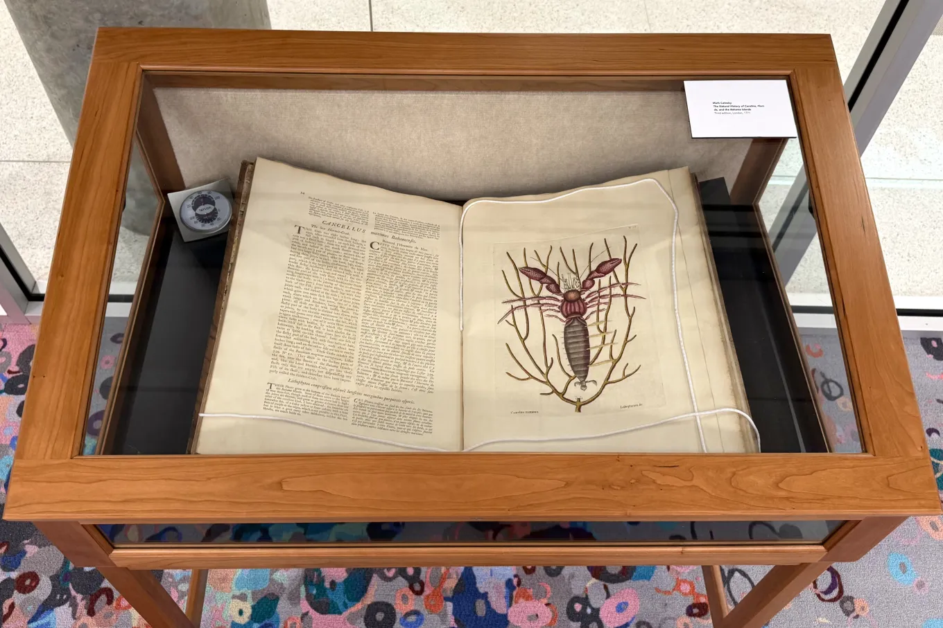 An antique natural history book is displayed open inside a glass-topped wooden case. One page contains dense printed text, while the facing page features a detailed hand-colored illustration of an insect with elongated body and delicate wings perched among branching plant stems.